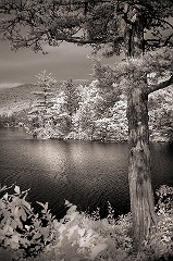 Dodie's Lake 3 Wingdale, NY  Dave Hickey